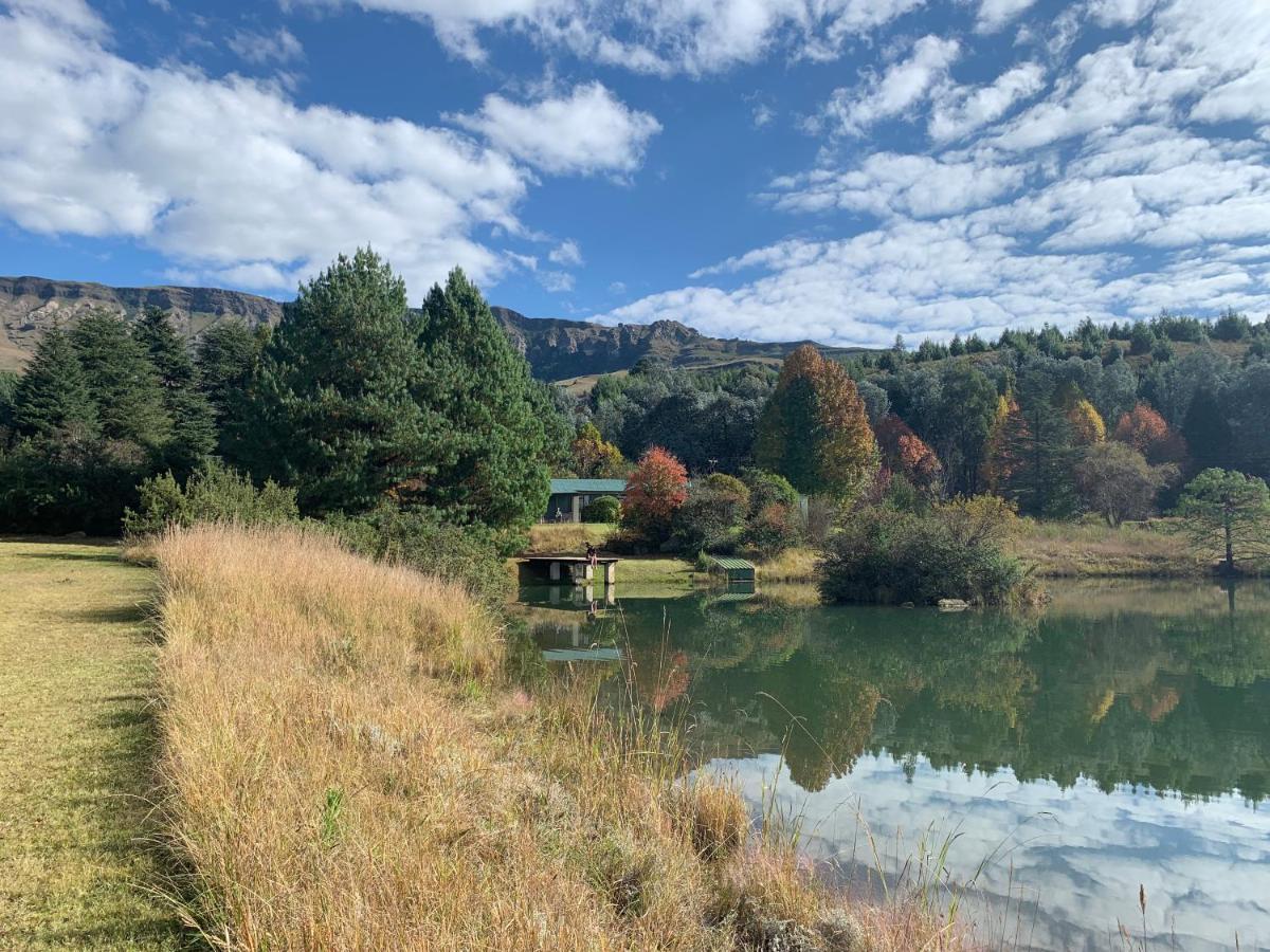 Appartamento Brackenburn Trout And Trail Retreat Elandskop Esterno foto