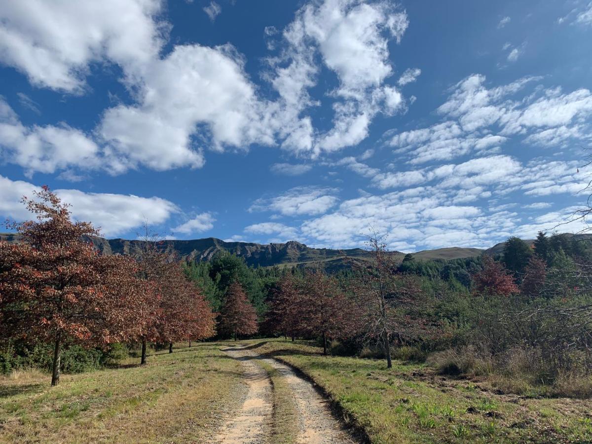 Appartamento Brackenburn Trout And Trail Retreat Elandskop Esterno foto
