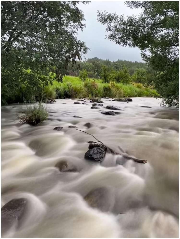 Appartamento Brackenburn Trout And Trail Retreat Elandskop Esterno foto